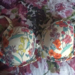 36D live in pretty bra